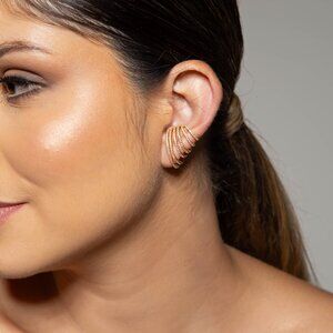 Pair of fake piercing earrings